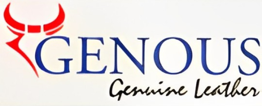 geneous-logo 2